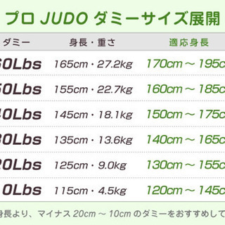 サンドバッグ 人形 ほぼ新品（柔道ダミー、グラップリングダミー、サンドバッグ）