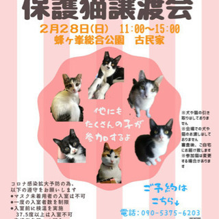 第１３回保護猫譲渡会in蜂が峯総合公園　古民家