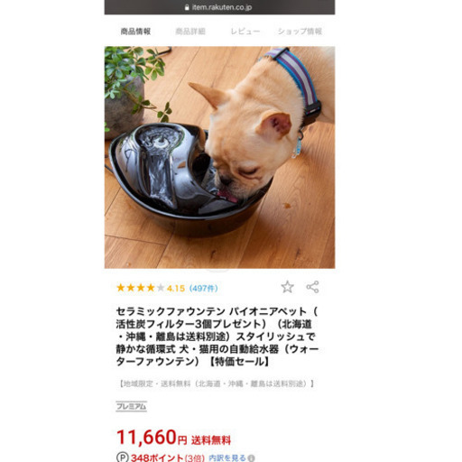 ペット用給水器　犬　猫