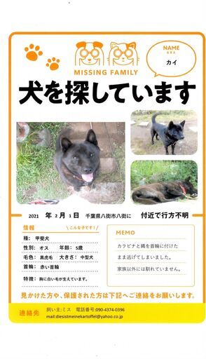 八街市八街に で迷子になっています 赤い首輪の甲斐犬 黒虎毛 です 鉄十字 八街の手伝って 助けての助け合い ジモティー 八街市八街に で迷子になっています 赤い首輪の甲斐犬 黒虎毛 です 鉄十字 八街の手伝って 助けての助け合い ジモティー