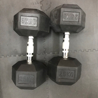 ヘックスダンベル 25kg ×2