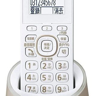 Panasonicコードレス電話機VE-GDS02DL-T 2月...
