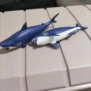 サメ　子供　おもちゃ