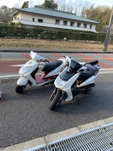 ヤマハ シグナス 1型 SE12J se12j | stainu-tasikmalaya.ac.id