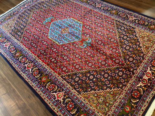 セネ産 ペルシャ絨毯 294×201cm (マイアラディンズラグ) 富山の 