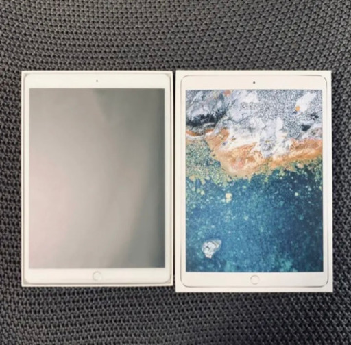 iPad ipad pro 10.5