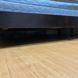 チャンス安いベット