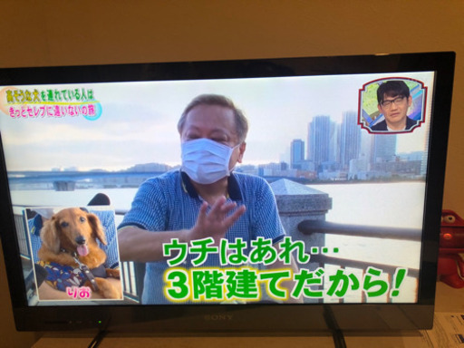 SONYテレビ