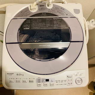 SHARP 洗濯機 シャープ ES-GV8D 8kg 白 2月のみ出品