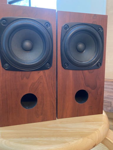 スピーカー FOSTEX P1000