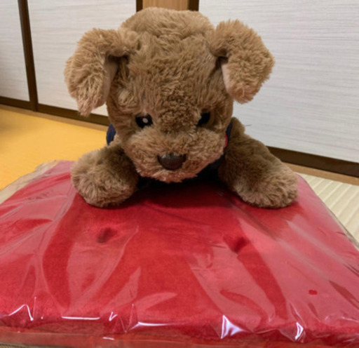 プリンスダッキー