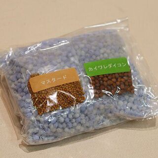 【苫小牧バナナ】未使用品 ベネリック スプラウト栽培セット 風の谷のナウシカ オウムの抜け殻 カイワレ/マスタード♪