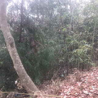 東京都の土地販売 土地売買 ジモティー