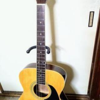 Takamine T-5N アコースティックギター 低弦高調整済み美品