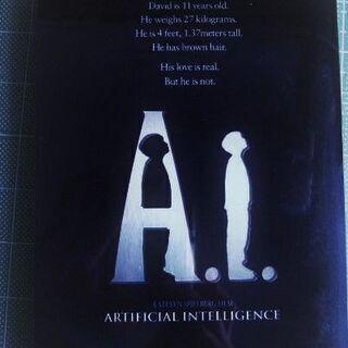 AI　 2枚組DVD 　