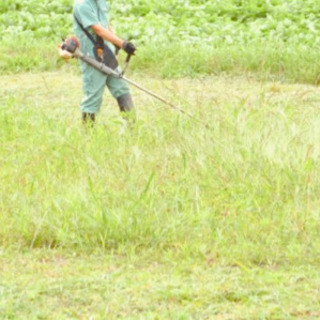 庭、管理地等の草刈作業