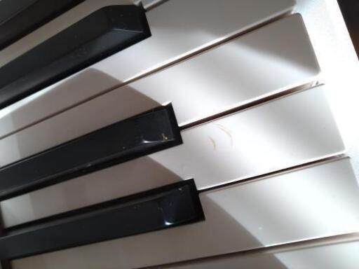 鍵盤楽器、ピアノ KORG LP-350