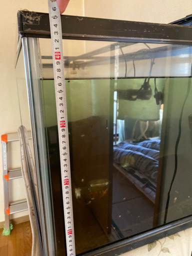 水槽 120センチ 大型魚に挑戦してみませんか？