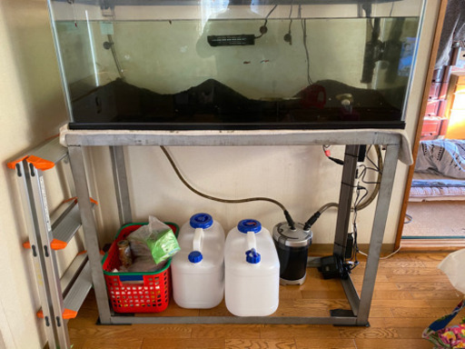 水槽　120センチ　大型魚に挑戦してみませんか？