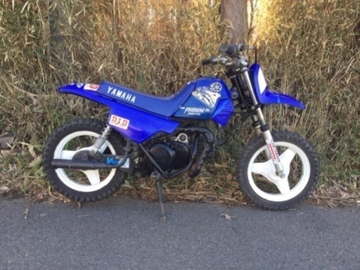 キッツバイク！！PW50⭐️