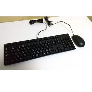 【早いもの勝ち！】DELL USBキーボード+USBマウス