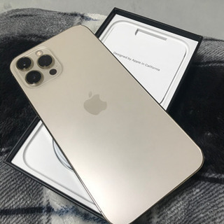 iPhone Pro MAX 256GB au