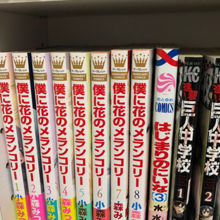約300冊漫画