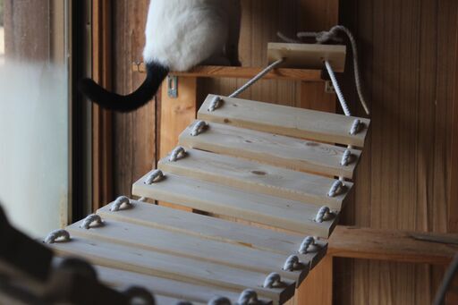 吊り橋 猫用 完成品 200cm～長さ調節できます