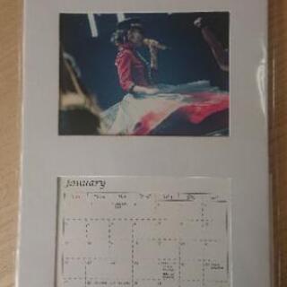 【ネット決済・配送可】安室奈美恵 ファイナリー卓上カレンダー