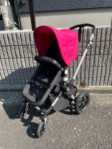 バbugabooo カメレオン3