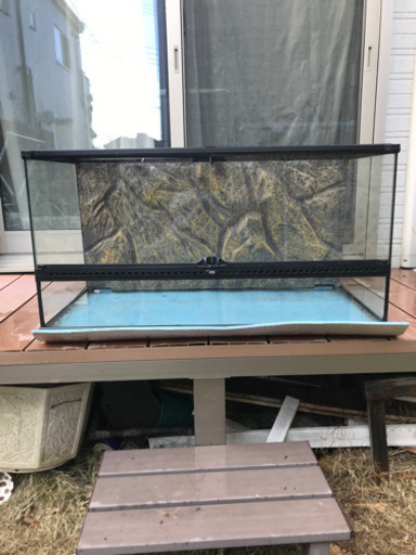 爬虫類ゲージ，