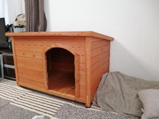 ふつう 製作 天皇 犬 小屋 カーテン Sun Rise P Jp ふつう 製作 天皇 犬 小屋 カーテン Sun Rise P Jp