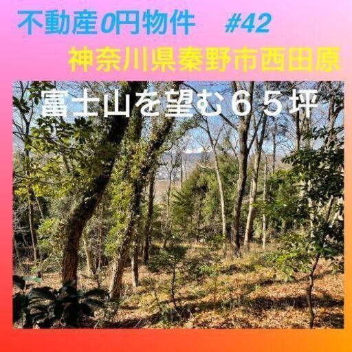 42神奈川県秦野市西田原不動産0円物件 セイユーコミュニティ 秦野の土地販売 土地売買の不動産 住宅情報 無料掲載の掲示板 ジモティー