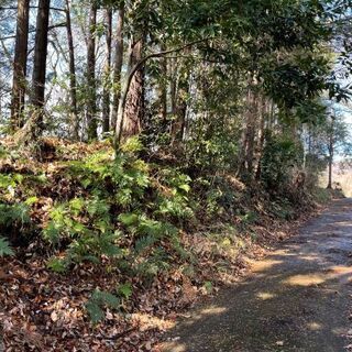 42神奈川県秦野市西田原不動産0円物件 セイユーコミュニティ 秦野の土地販売 土地売買の不動産 住宅情報 無料掲載の掲示板 ジモティー