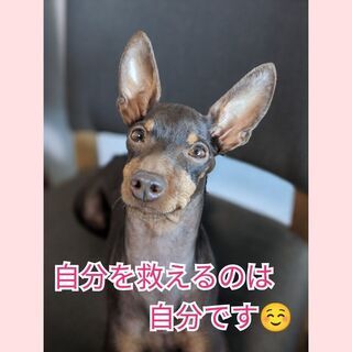 子育てに苦しむ「あなた」の心を癒やします(^^)