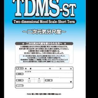 二次元気分尺度  TDMS