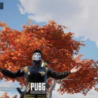 Pubg メンバー募集 ジモティー Pubg メンバー募集 ジモティー