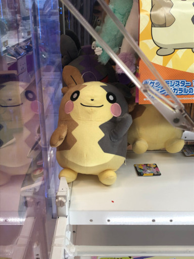 新品モルペコでっかいぬいぐるみまんぷくもようポケモンアミューズメント景品 Kei 下井草のおもちゃの中古あげます 譲ります ジモティーで不用品の処分