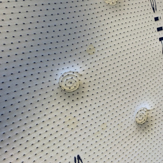 12万引き目玉商品！超超お得なニトリクイーンマットレス  フレームセット化粧台付