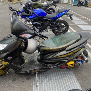 シグナス ロンホイ フルカスタム | skvp.co.uk
