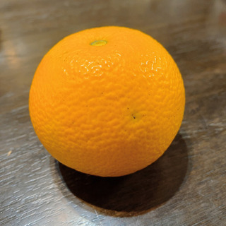 柑橘 八朔(はっさく) 5つ