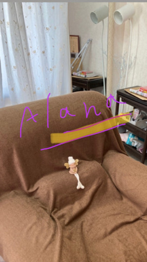 Eyelash Salon Alana 糸満 マツエク まつ毛パーマ Alana 赤嶺の美容の無料広告 無料掲載の掲示板 ジモティー