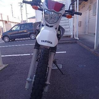 【商談中】xtz125　走行3000キロ 商談中】xtz125 走行3000キロ 【公式通販】