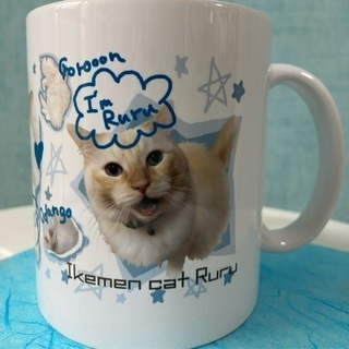【高円寺】IKEMENCATさんの猫ハーバリウム『ニャーバリウム』を販売中！オーダーメードも可能です！ − 東京都