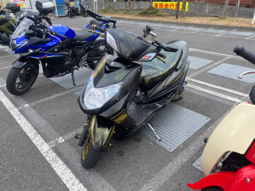 シグナス　2型フルカスタム早期取引値下げ