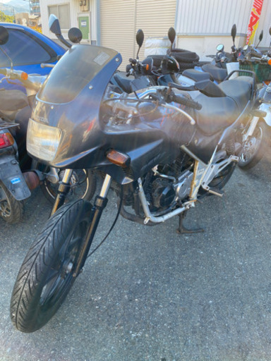 HONDA  ゼルビス　実動　250cc 福岡市南区