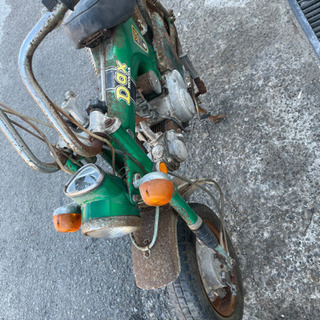 ダックス　決まりました。