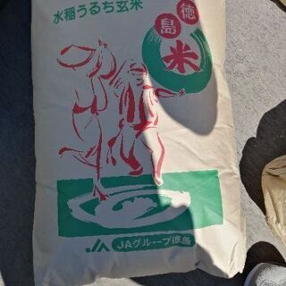 令和2年産　徳島県産コシヒカリ30kg　玄米