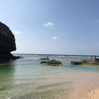 イッテQ 世界ふしぎ発見特集♪ 奄美群島沖永良部島。100坪古民...