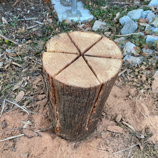 未乾燥 スウェーデントーチ 森のキャンドル 針葉樹玉薪